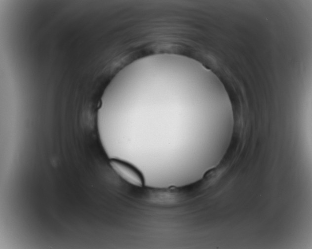 X0000084010282200703091933