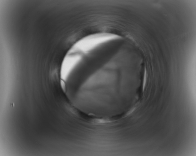 X0000084010286200703091933