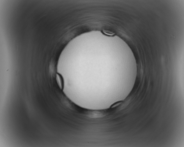 X0000084010287200703091933