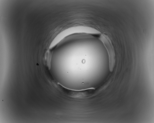 X0000084010288200703091933