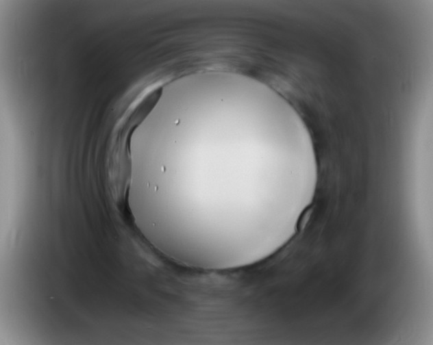 X0000084010290200703091933