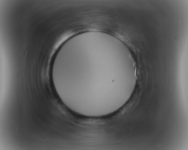 X0000084010292200703091933