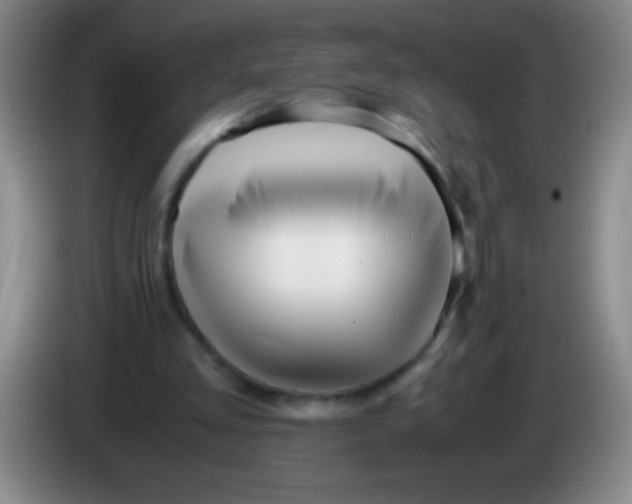 X0000084010293200703091933