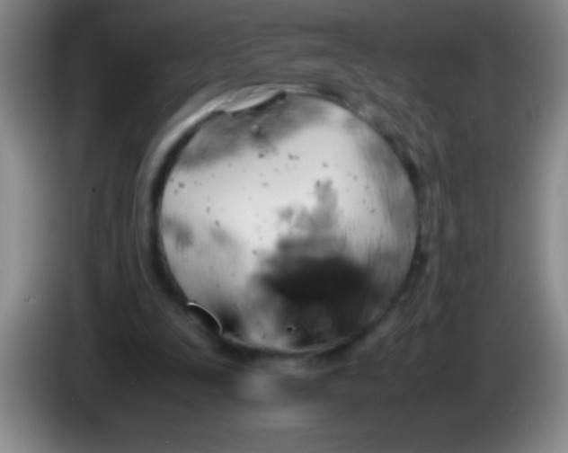 X0000084010295200703091933