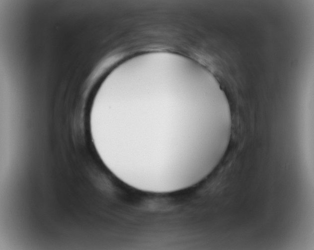 X0000084010296200703091933