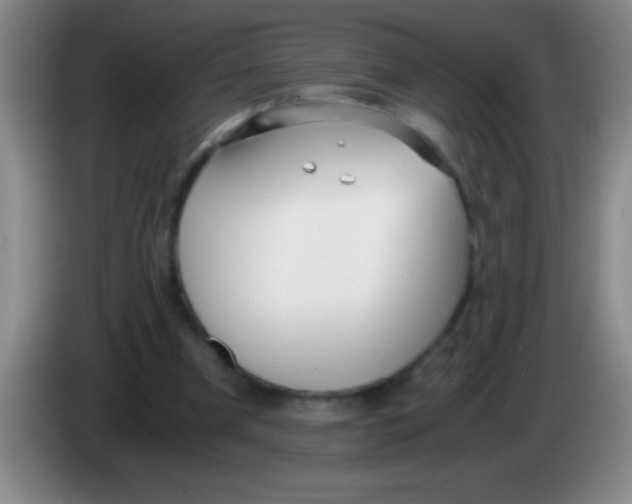 X0000084010297200703091933