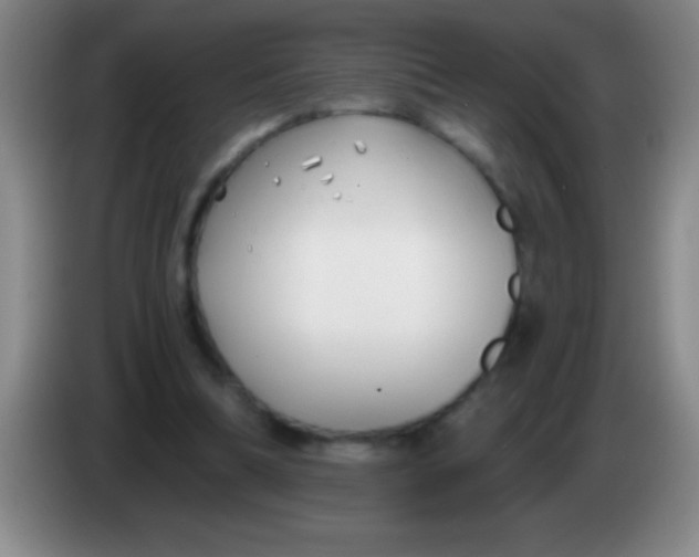 X0000084010298200703091933