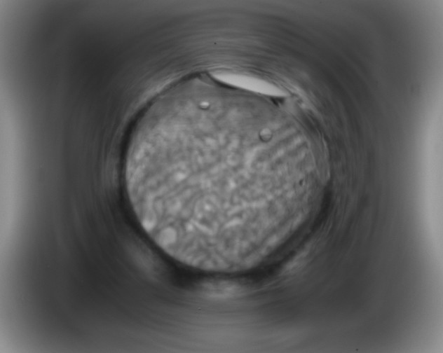 X0000084010299200703091933