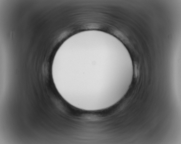 X0000084010300200703091932