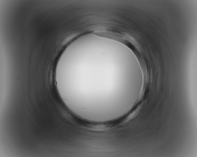 X0000084010301200703091932