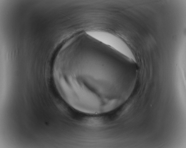 X0000084010303200703091932