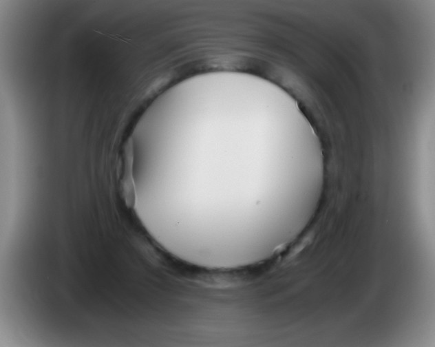 X0000084010305200703091932