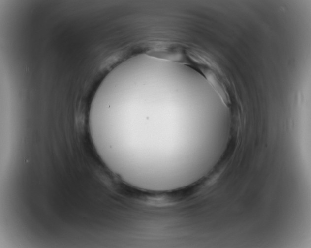 X0000084010309200703091932