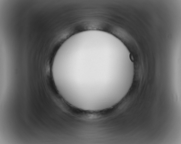 X0000084010310200703091932