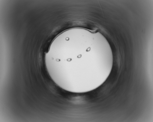 X0000084010312200703091932