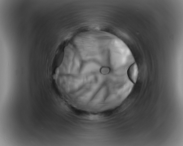 X0000084010314200703091932