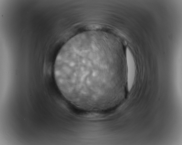 X0000084010315200703091932