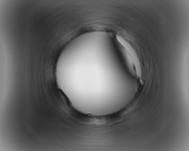 X0000084010317200703091932