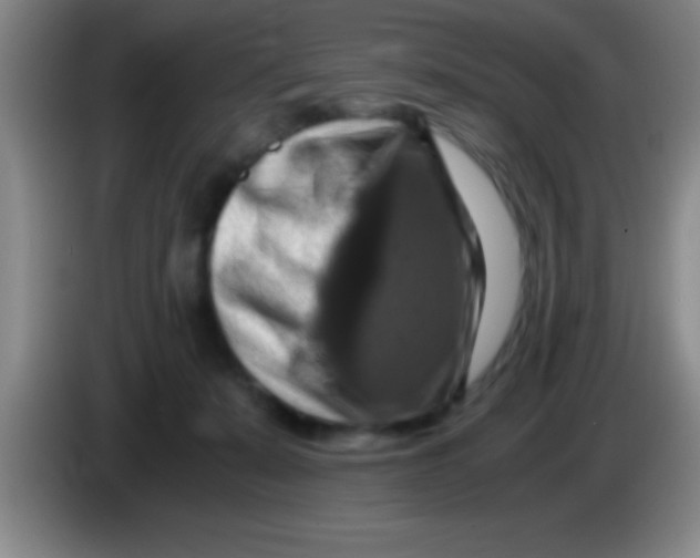 X0000084010319200703091932