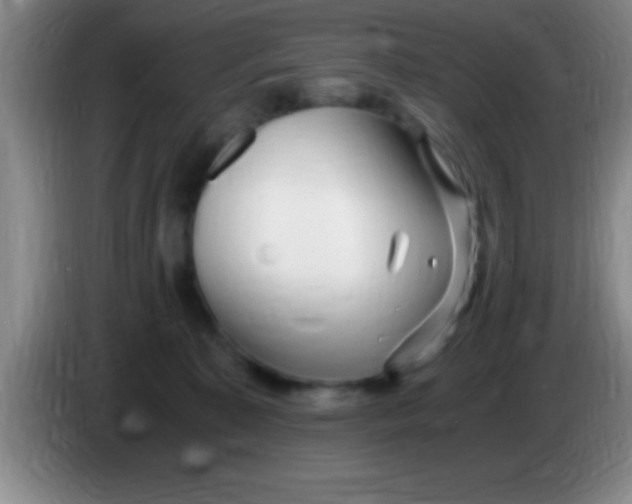 X0000084010323200703091932