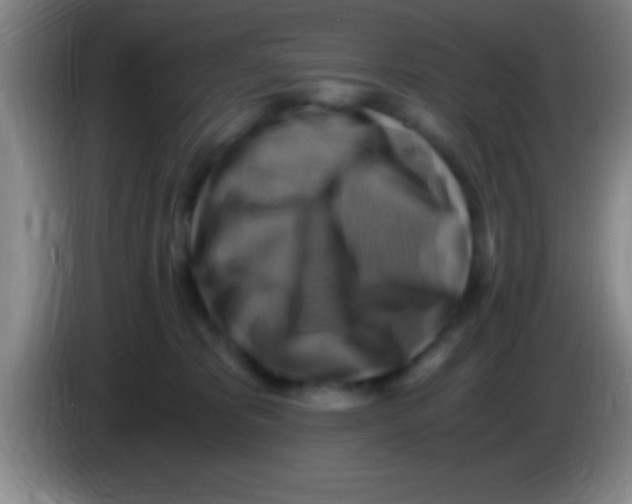 X0000084010325200703091932