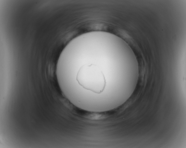 X0000084010326200703091932