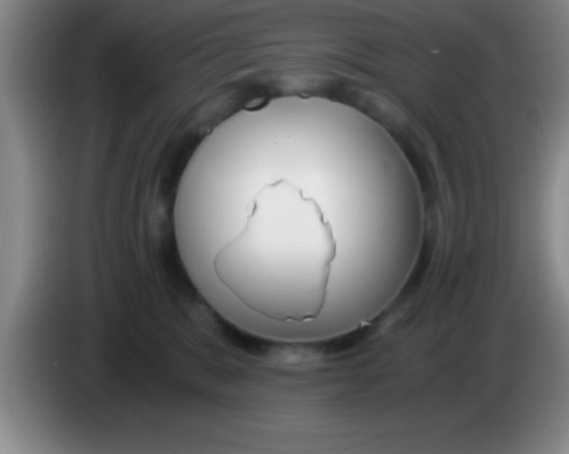 X0000084010327200703091932