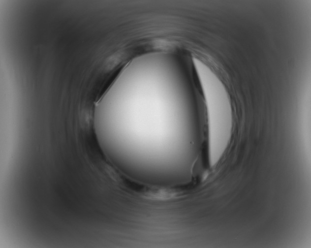 X0000084010329200703091932