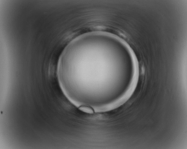 X0000084010330200703091932