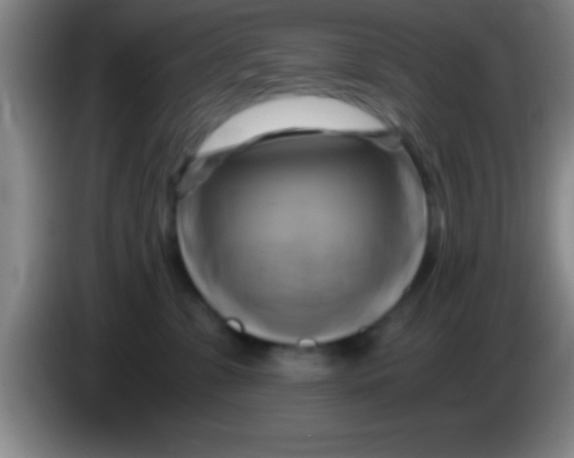 X0000084010331200703091932