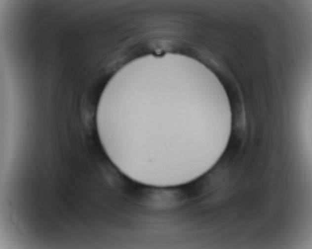 X0000084010332200703091932