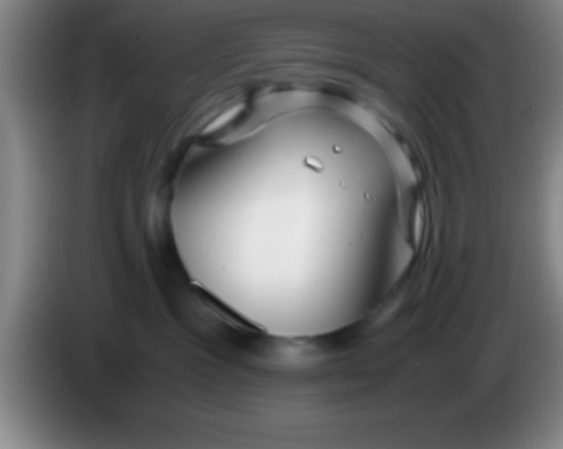 X0000084010333200703091932