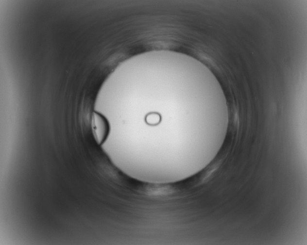 X0000084010334200703091932