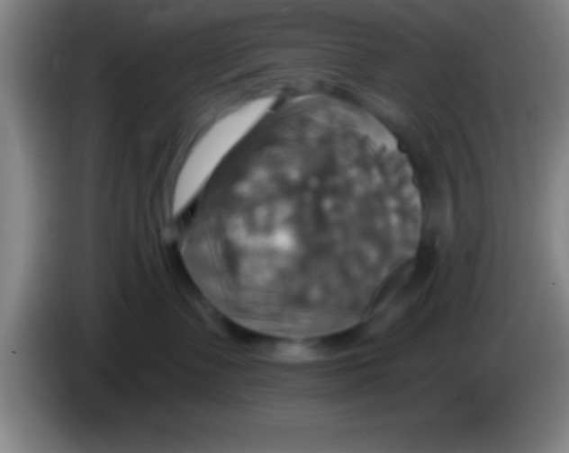 X0000084010335200703091932