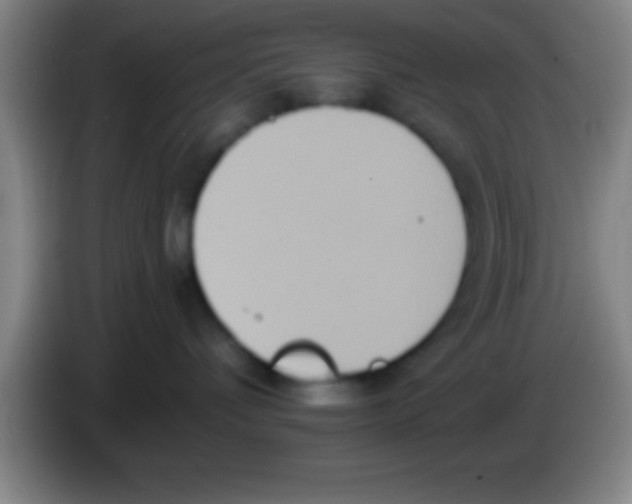 X0000084010336200703091932