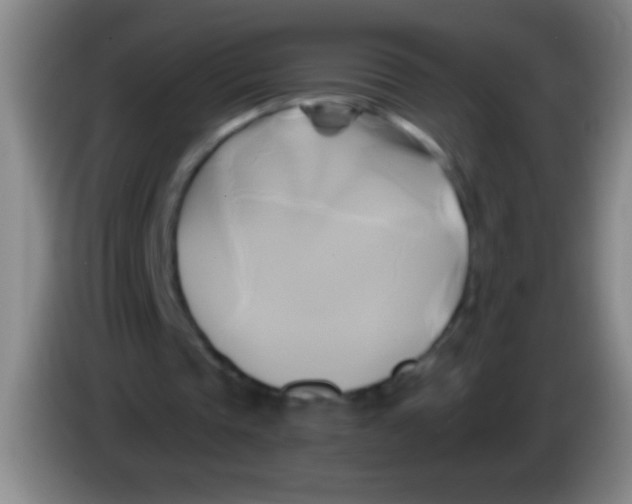 X0000084010337200703091931