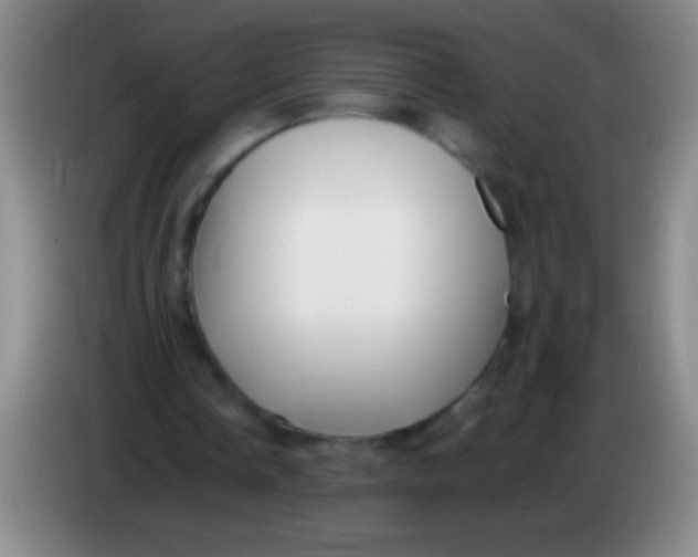 X0000084010338200703091931