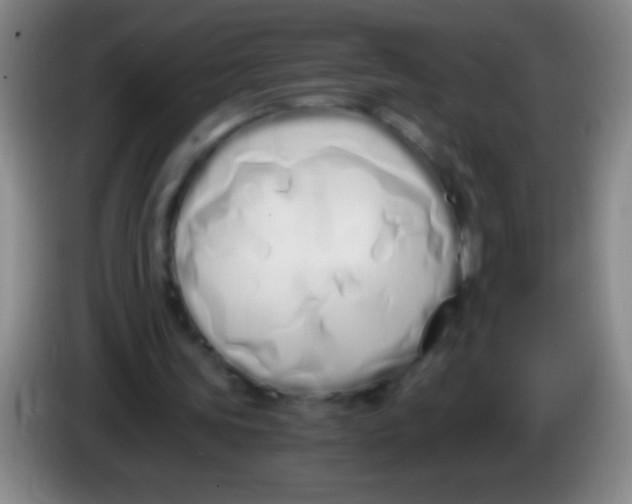 X0000084010339200703091931