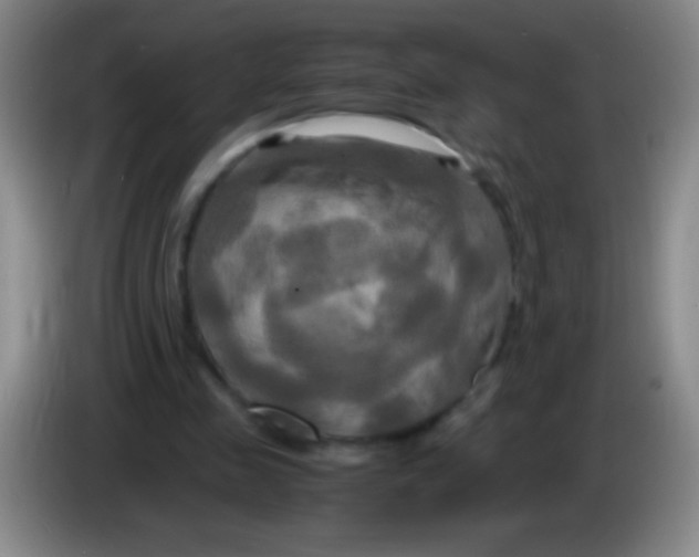 X0000084010341200703091931