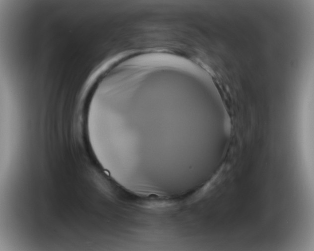 X0000084010342200703091931