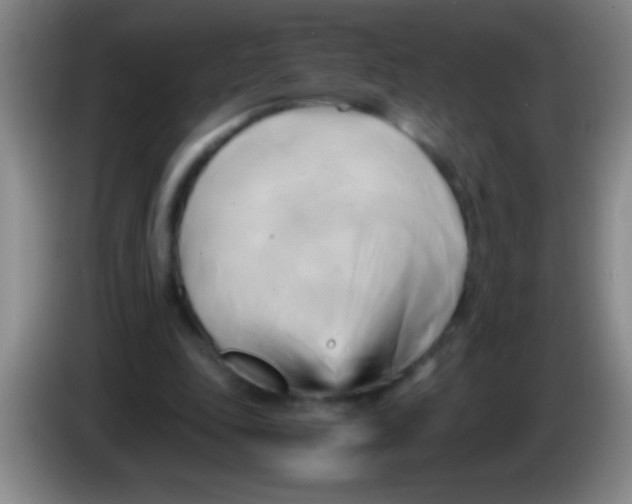 X0000084010343200703091931