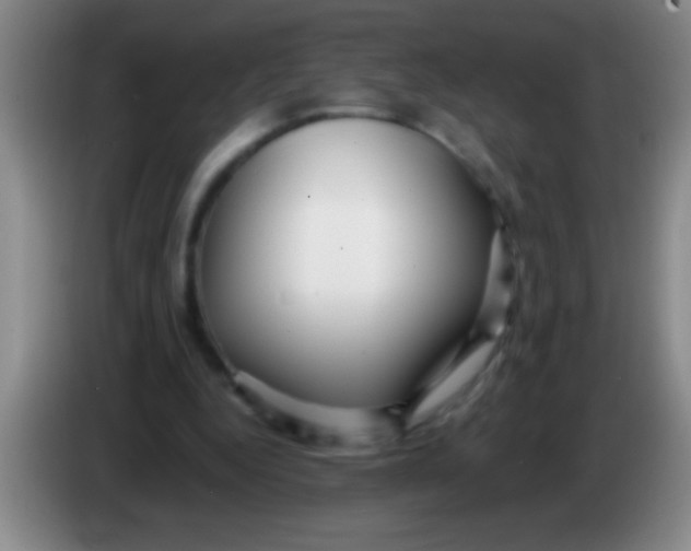 X0000084010344200703091931