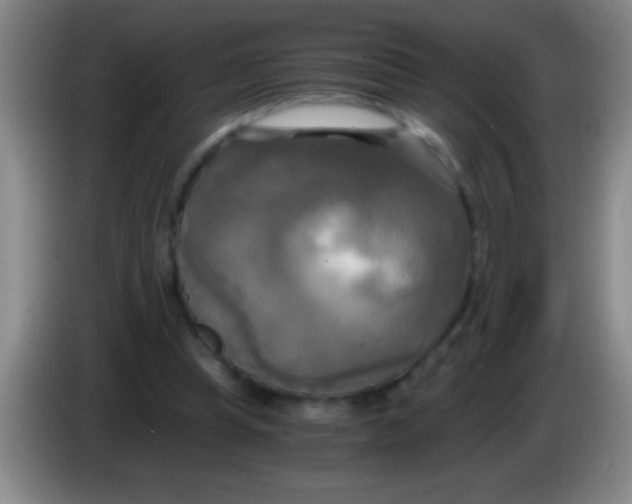 X0000084010345200703091931