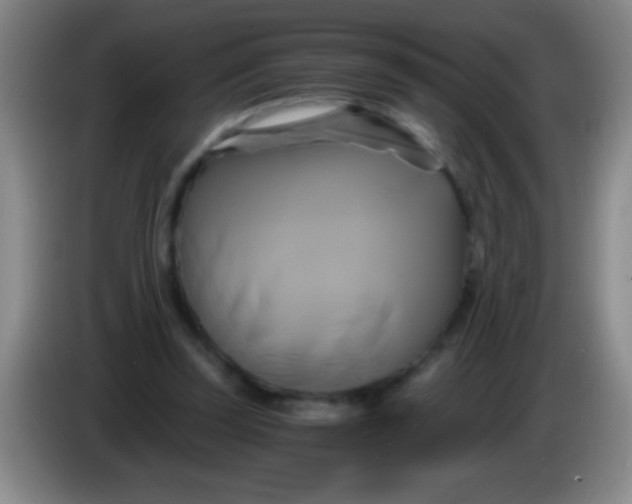 X0000084010347200703091932