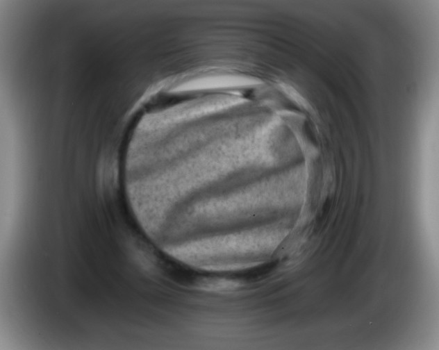 X0000084010348200703091932