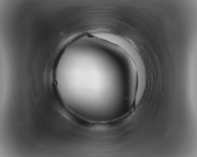 X0000084010350200703091932