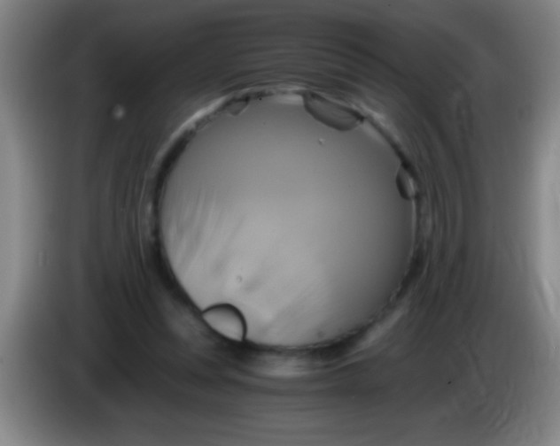 X0000084010351200703091932