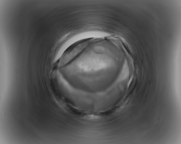 X0000084010352200703091932