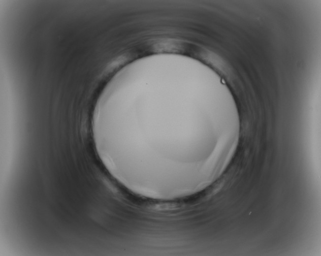 X0000084010353200703091932