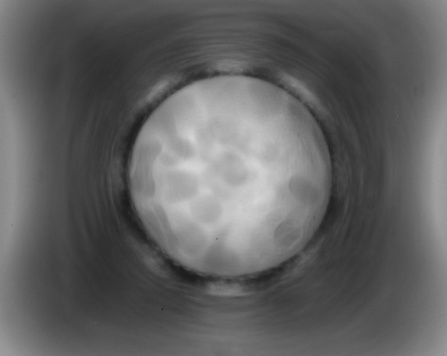 X0000084010354200703091932